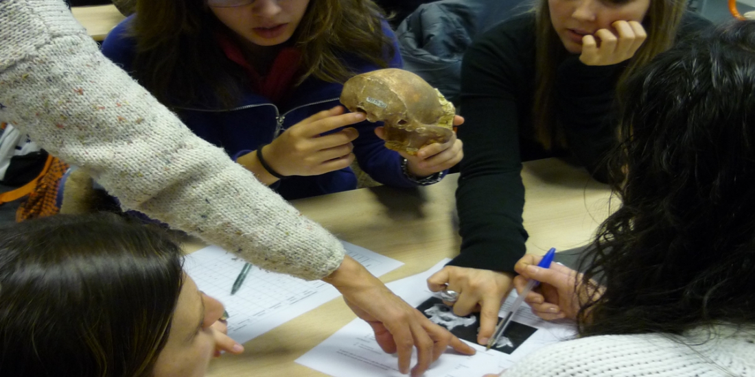 Institut Català de Paleontologia