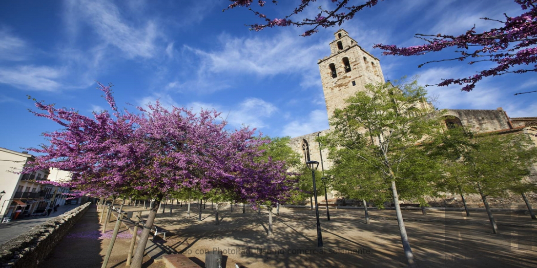 Museu de Sant Cugat